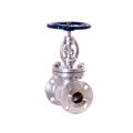 bce1a3c7_cast-gate-globe-check-valves - Copy